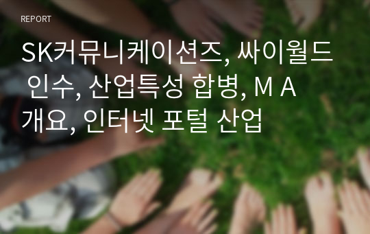 SK커뮤니케이션즈, 싸이월드 인수, 산업특성 합병, M A 개요, 인터넷 포털 산업