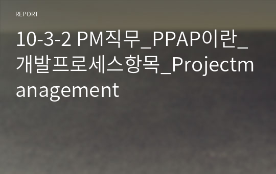 10-3-2 PM직무_PPAP이란_개발프로세스항목_Projectmanagement