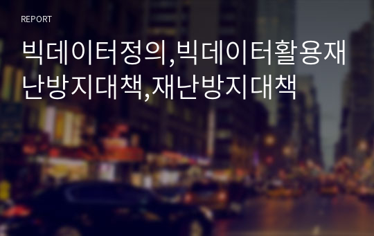 빅데이터정의,빅데이터활용재난방지대책,재난방지대책