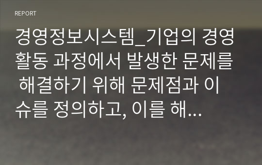 경영정보시스템_기업의 경영활동 과정에서 발생한 문제를 해결하기 위해 문제점과 이슈를 정의하고, 이를 해결하기 위한 노력을 설명하십시오.