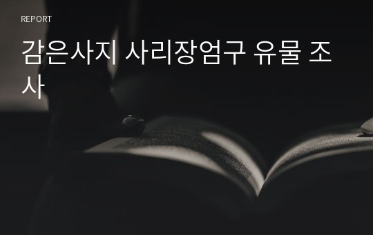 감은사지 사리장엄구 유물 조사