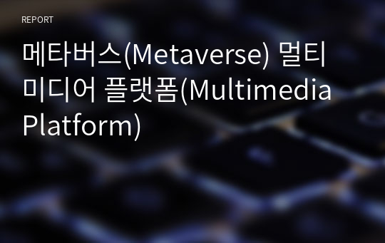 메타버스(Metaverse) 멀티미디어 플랫폼(Multimedia Platform)