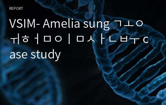VSIM- Amelia sung 고위험임산부 case study