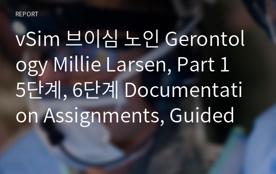 vSim 브이심 노인 Gerontology Millie Larsen, Part 1 5단계, 6단계 Documentation Assignments, Guided Reflection Questions