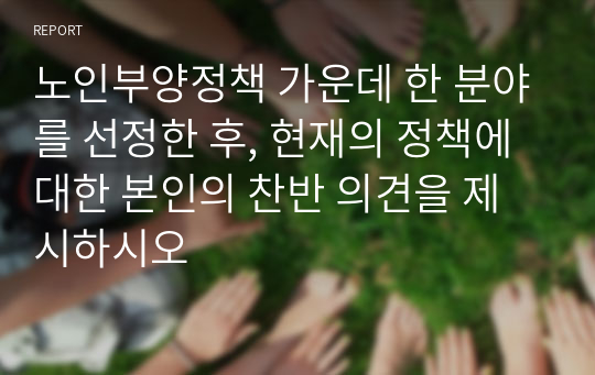 노인부양정책 가운데 한 분야를 선정한 후, 현재의 정책에 대한 본인의 찬반 의견을 제시하시오