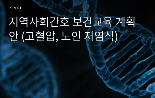 지역사회간호 보건교육 계획안 (고혈압, 노인 저염식)