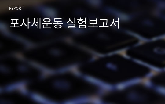 포사체운동 실험보고서