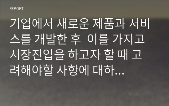 기업에서 새로운 제품과 서비스를 개발한 후  이를 가지고 시장진입을 하고자 할 때 고려해야할 사항에 대하여 서술하시오.