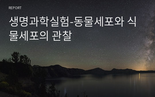 생명과학실험-동물세포와 식물세포의 관찰