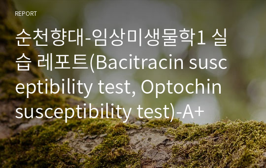 순천향대-임상미생물학1 실습 레포트(Bacitracin susceptibility test, Optochin susceptibility test)-A+