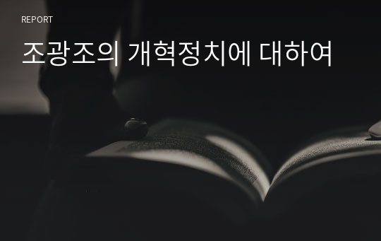 조광조의 개혁정치에 대하여