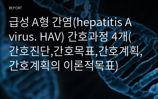 급성 A형 간염(hepatitis A virus. HAV) 간호과정 4개(간호진단,간호목표,간호계획,간호계획의 이론적목표)