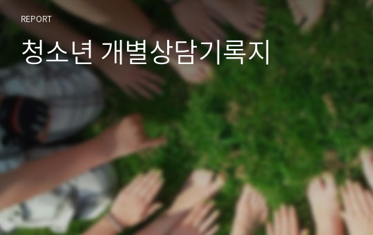 청소년 개별상담기록지