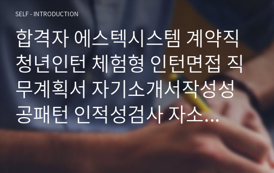 합격자 에스텍시스템 계약직 청년인턴 체험형 인턴면접 직무계획서 자기소개서작성성공패턴 인적성검사 자소서입력항목분석 지원동기작성요령