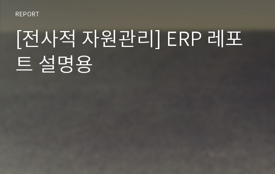 [전사적 자원관리] ERP 레포트 설명용