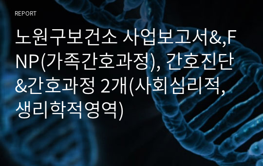 노원구보건소 사업보고서&amp;,FNP(가족간호과정), 간호진단&amp;간호과정 2개(사회심리적,생리학적영역)