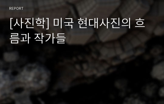 [사진학] 미국 현대사진의 흐름과 작가들