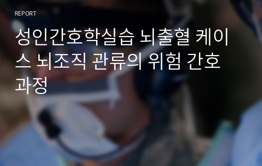 성인간호학실습 뇌출혈 케이스 뇌조직 관류의 위험 간호과정