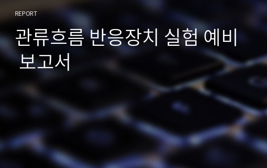 관류흐름 반응장치 실험 예비 보고서