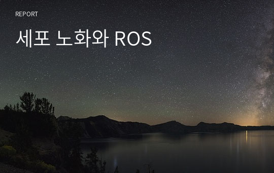 세포 노화와 ROS