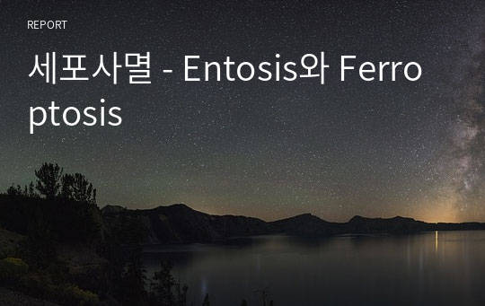 세포사멸 - Entosis와 Ferroptosis