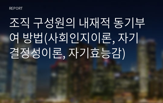 조직 구성원의 내재적 동기부여 방법(사회인지이론, 자기결정성이론, 자기효능감)