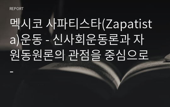 멕시코 사파티스타(Zapatista)운동 - 신사회운동론과 자원동원론의 관점을 중심으로 -