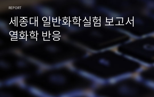 세종대 일반화학실험 보고서 열화학 반응