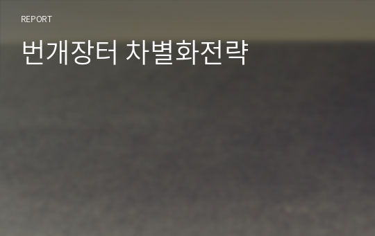 번개장터 차별화전략