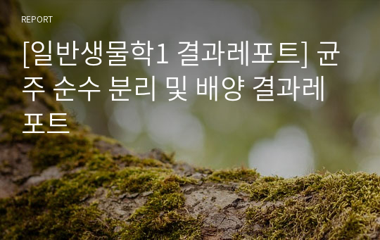 [일반생물학1 결과레포트] 균주 순수 분리 및 배양 결과레포트