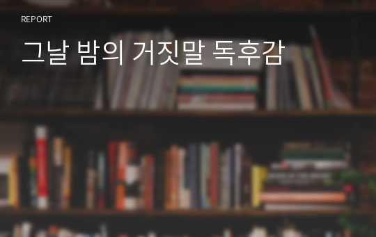 그날 밤의 거짓말 독후감