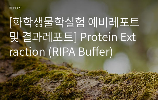 [화학생물학실험 예비레포트 및 결과레포트] Protein Extraction (RIPA Buffer)