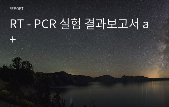 RT - PCR 실험 결과보고서 a+