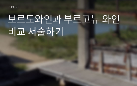 보르도와인과 부르고뉴 와인 비교 서술하기