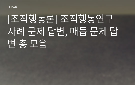 [조직행동론] 조직행동연구 사례 문제 답변, 매듭 문제 답변 총 모음