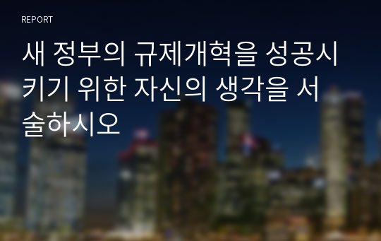 새 정부의 규제개혁을 성공시키기 위한 자신의 생각을 서술하시오