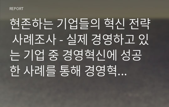 현존하는 기업들의 혁신 전략 사례조사 - 실제 경영하고 있는 기업 중 경영혁신에 성공한 사례를 통해 경영혁신을 정의하시오.