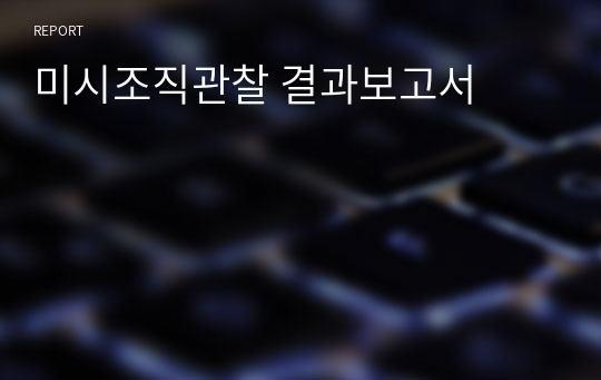 미시조직관찰 결과보고서