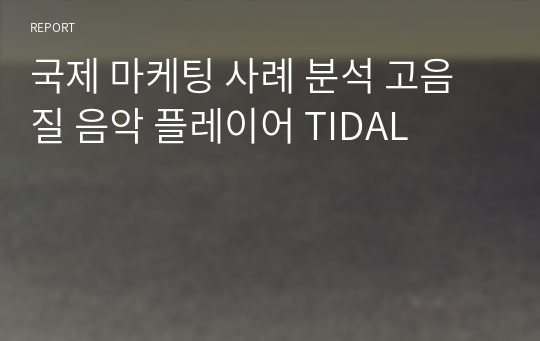 국제 마케팅 사례 분석 고음질 음악 플레이어 TIDAL