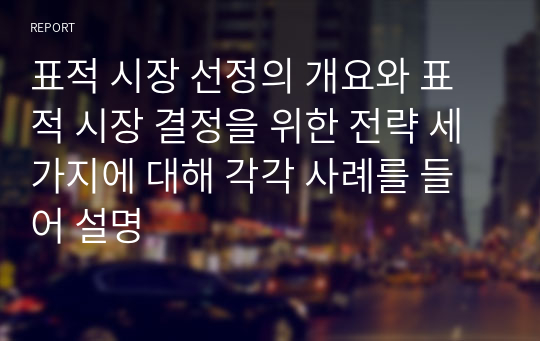 표적 시장 선정의 개요와 표적 시장 결정을 위한 전략 세 가지에 대해 각각 사례를 들어 설명