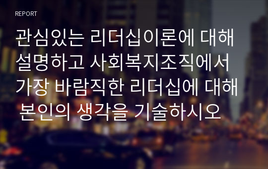 관심있는 리더십이론에 대해 설명하고 사회복지조직에서 가장 바람직한 리더십에 대해 본인의 생각을 기술하시오