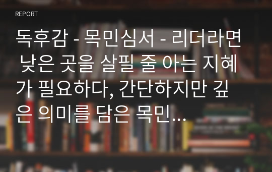 독후감 - 목민심서 - 리더라면 낮은 곳을 살필 줄 아는 지혜가 필요하다, 간단하지만 깊은 의미를 담은 목민관의 지침서 (다산 정약용)