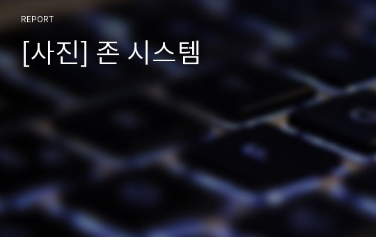 [사진] 존 시스템