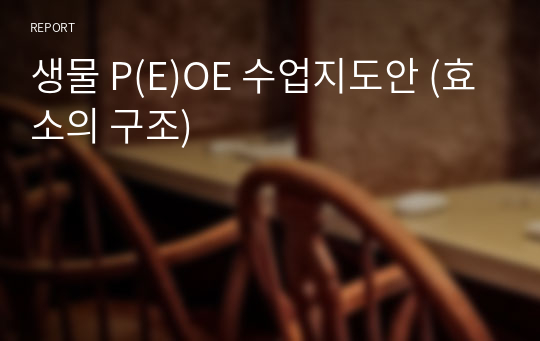 생물 P(E)OE 수업지도안 (효소의 구조)