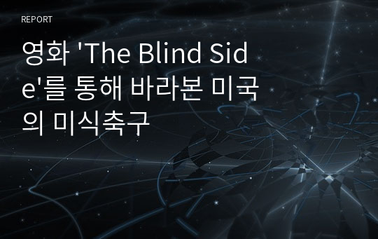 영화 &#039;The Blind Side&#039;를 통해 바라본 미국의 미식축구