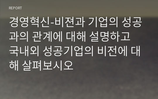 경영혁신-비젼과 기업의 성공과의 관계에 대해 설명하고 국내외 성공기업의 비전에 대해 살펴보시오