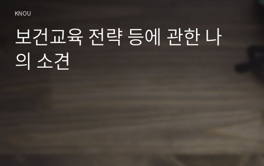 보건교육 전략 등에 관한 나의 소견