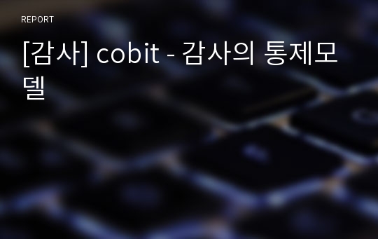 [감사] cobit - 감사의 통제모델