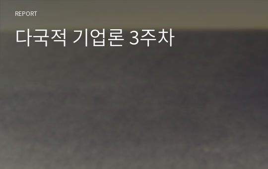 다국적 기업론 3주차