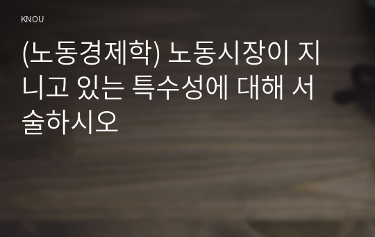 (노동경제학) 노동시장이 지니고 있는 특수성에 대해 서술하시오